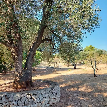 Trullo Luce Delle Stelle Ceglie Messapica